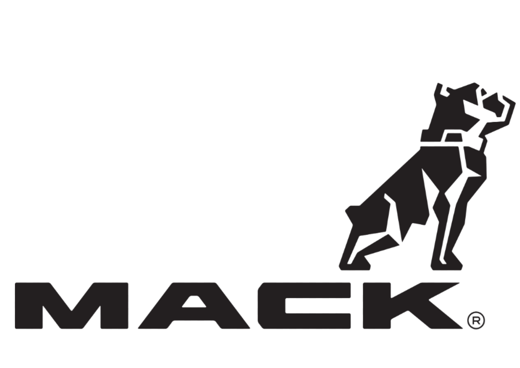 Developer logo