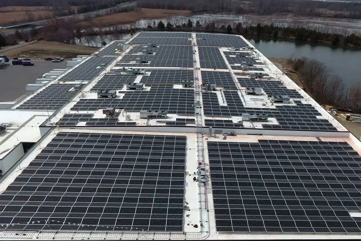 Thomas Foods International